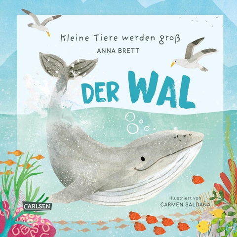 Kleine Tiere werden gro&szlig; - Der Wal - Anna Brett