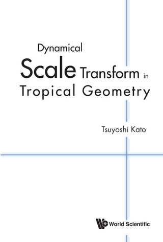 DYNAMICAL SCALE TRANSFORM IN TROPICAL GEOMETRY