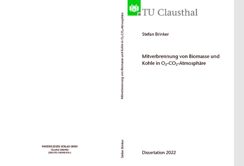 Mitverbrennung von Biomasse und Kohle in O2-Co2-Atmosph&auml;re - Stefan Brinker