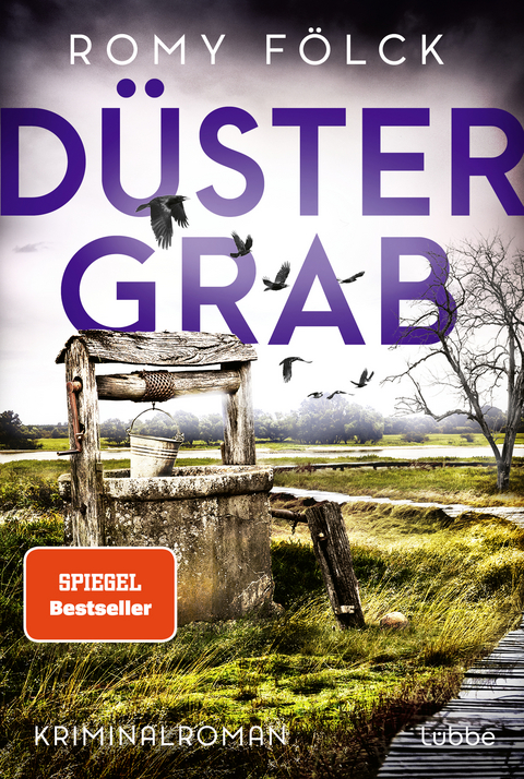 D&uuml;stergrab - Romy F&ouml;lck