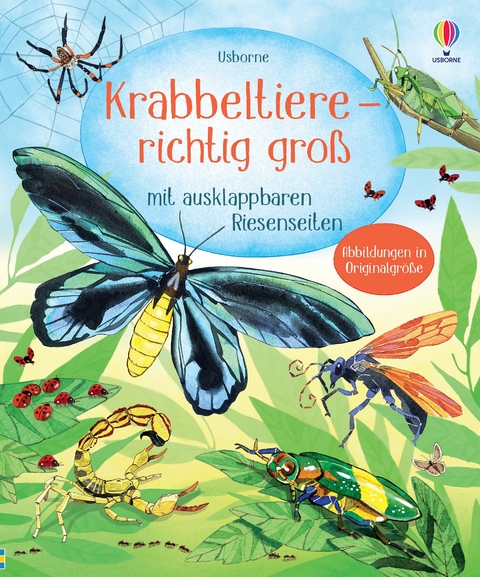 Krabbeltiere - richtig gro&szlig;