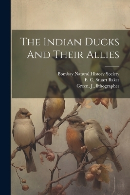 The Indian Ducks And Their Allies