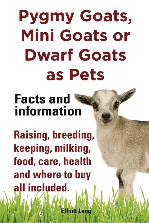 Pygmy Goats as Pets. Pygmy Goats, Mini Goats or Dwarf Goats - Elliott Lang