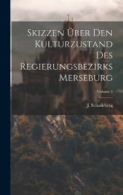Skizzen Über Den Kulturzustand Des Regierungsbezirks Merseburg; Volume 3