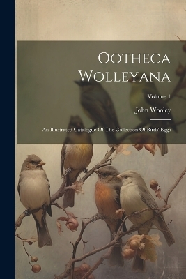 Ootheca Wolleyana