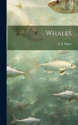 Whales - 