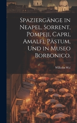 Spazierg&auml;nge in Neapel, Sorrent, Pompeji, Capri, Amalfi, P&auml;stum, und in Museo Borbonico. - Wilhelm Wyl