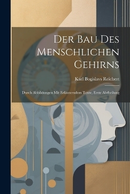 Der Bau Des Menschlichen Gehirns