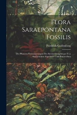 Flora Saraepontana Fossilis - Friedrich Goldenberg