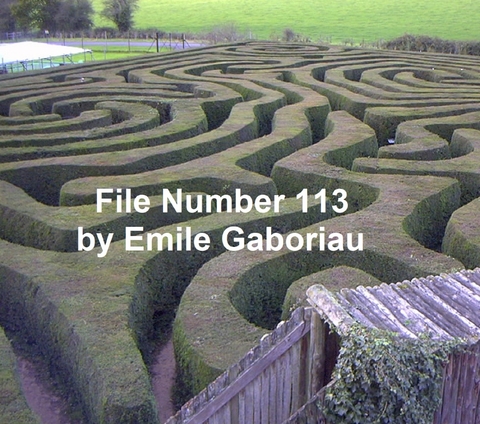 File No. 113 -  Emile Gaboriau