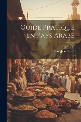 Guide Pratique En Pays Arabe