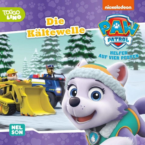 Maxi-Mini 171: PAW Patrol: Die K&auml;ltewelle