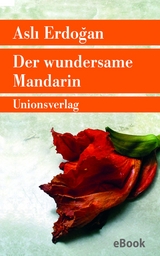 Der wundersame Mandarin - Aslı Erdoğan