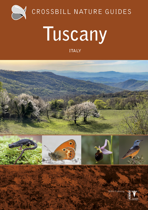 Tuscany - Graham Chisholm