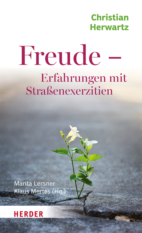 Freude - Erfahrungen mit Stra&szlig;enexerzitien - Christian Herwartz