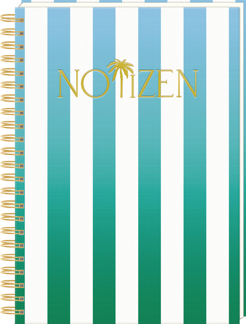 Ringbuch DIN A4 &ndash; Notizen