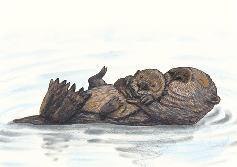 Getragen sein Postkarte VE 1 = 10 - Kathrin Schärer