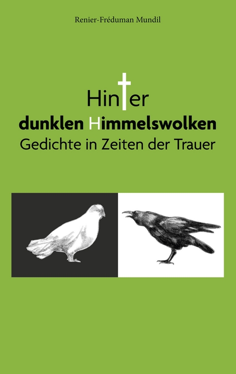 Hinter dunklen Himmelswolken - Renier-Fr&eacute;duman Mundil