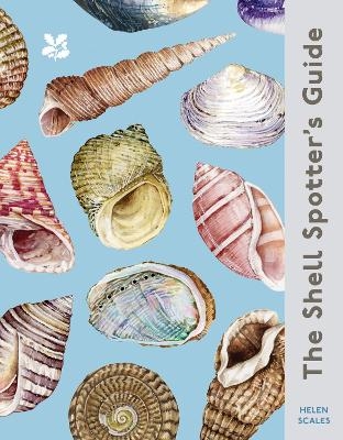 The Shell Spotter&rsquo;s Guide - Helen Scales