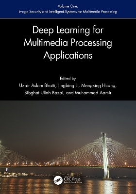 Deep Learning for Multimedia Processing Applications - 