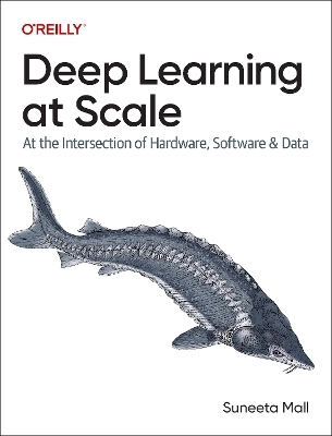 Deep learning at scale