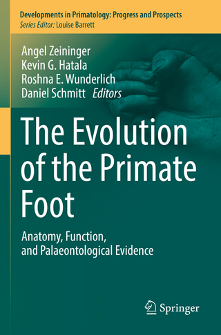 The Evolution of the Primate Foot