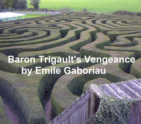 Baron Trigault's Vengeance -  Emile Gaboriau