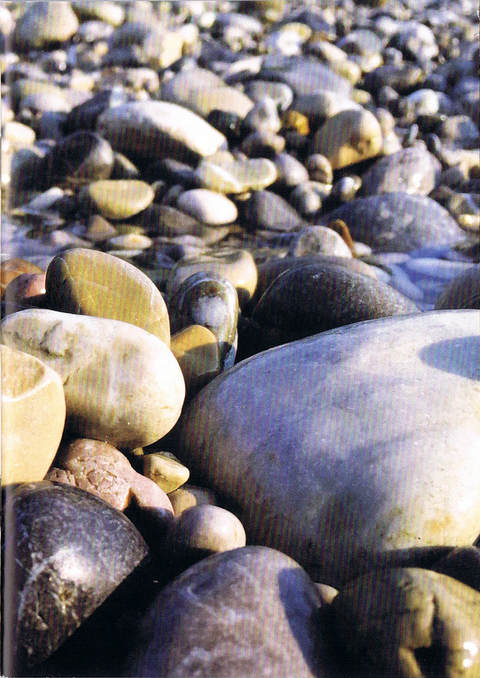 so viele Heft 89 2023 - Alexander Steig