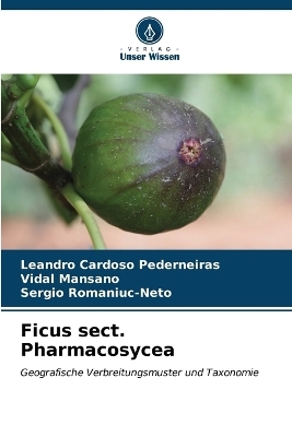 Ficus sect. Pharmacosycea - Leandro Cardoso Pederneiras, Vidal Mansano, Sergio Romaniuc-Neto