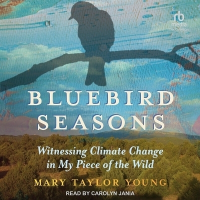 Bluebird Seasons - Mary Taylor Young