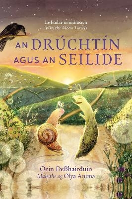 An Dr&uacute;cht&iacute;n agus an Seilide - Oein DeBhairduin