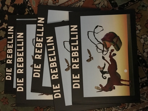 Die Rebellin - Bekir Dari