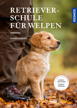 Retrieverschule für Welpen