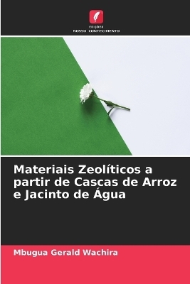 Materiais Zeol&iacute;ticos a partir de Cascas de Arroz e Jacinto de &Aacute;gua - Mbugua Gerald Wachira