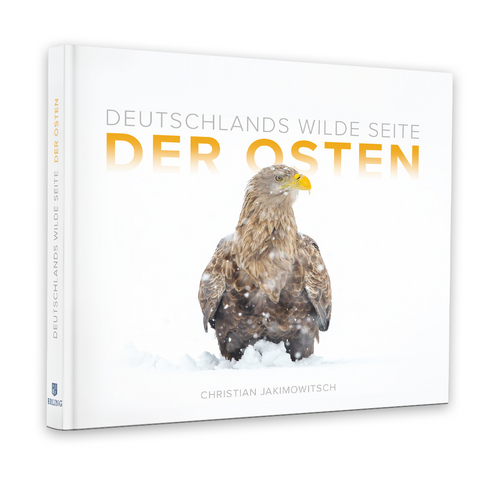DER OSTEN - 