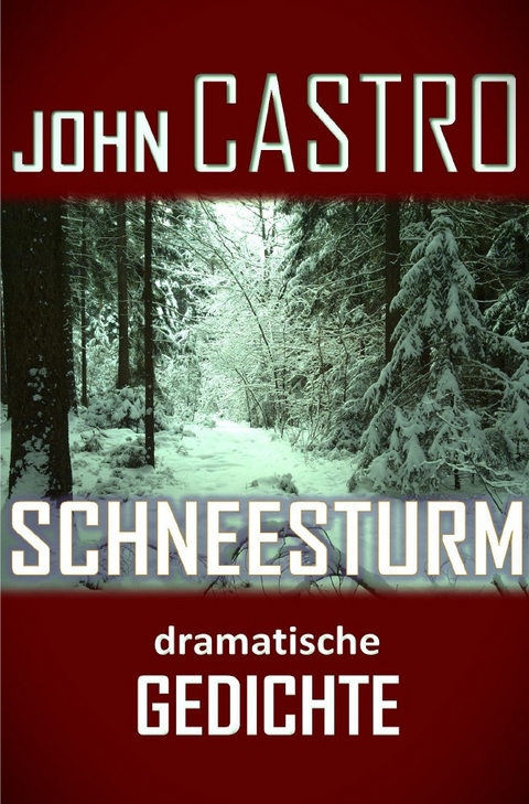 Schneesturm - John Castro