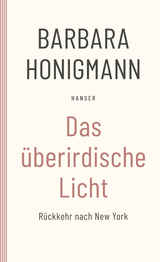 Das überirdische Licht - Honigmann, Barbara