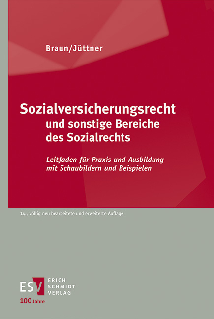 Sozialversicherungsrecht und sonstige Bereiche des Sozialrechts - Hans-Dieter Braun, G&uuml;nter Hans, Michael Heinrich, Tim Husemann, Andreas J&uuml;ttner, Yasemin K&ouml;rtek, Sonja Reimer, Nina Reit-Born, Stefanie Schwerendt