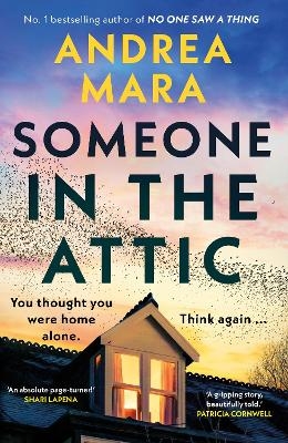 Someone in the Attic - Andrea Mara