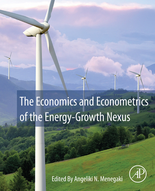 Economics and Econometrics of the Energy-Growth Nexus