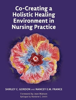 Co-Creating a Holistic Healing Environment in Nursing Practice - Shirley C. Gordon, Nancey E.M. France