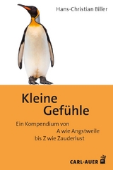 Kleine Gef&uuml;hle - Hans-Christian Biller