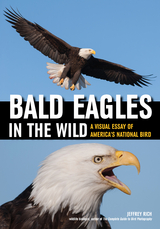 Bald Eagles In The Wild - Jeffrey Rich