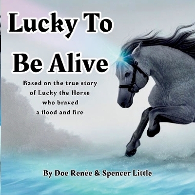 Lucky To Be Alive - Meral Doe Ren&eacute;e Jones, Spencer Little