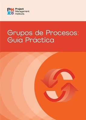 Process Groups: A Practice Guide (SPANISH) -  PMI