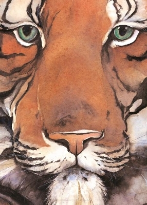 Tiger Poster - Jackie Morris