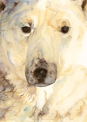 Jackie Morris Poster: Ice Bear Poster, The - Jackie Morris