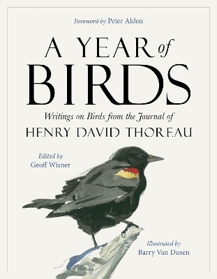 A Year of Birds - Barry Van Dusen, Peter Alden