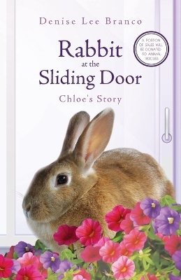 Rabbit at the Sliding Door - Denise Lee Branco