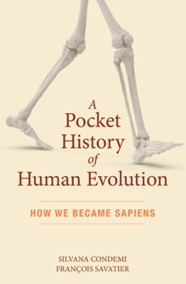 A Pocket History of Human Evolution - Silvana Condemi